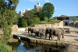 Kölner Zoo
