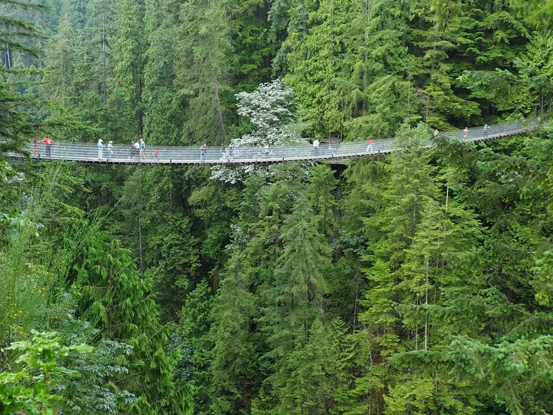 Capilano Suspension Bridge Park in Vancouver