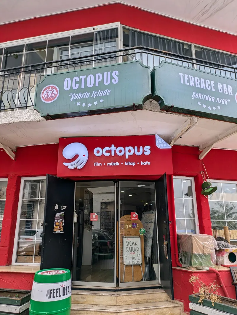 Octopus Book Cafe in Haşimişcan, Antalya