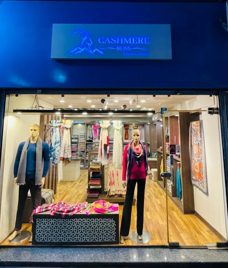 "Cashmere Bliss" - (Whispered Elegance in Cashmere & Pashmina)