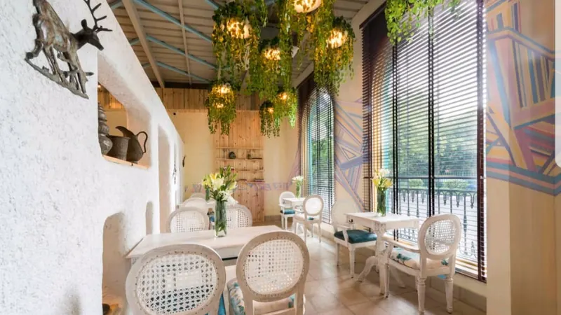 Cafe Tesu in Amer, Delhi