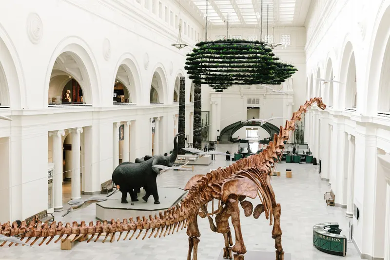 Field Museum in Chicago