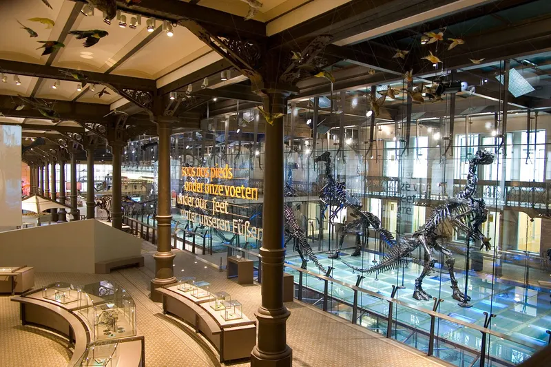 Natural Sciences Museum of Belgium