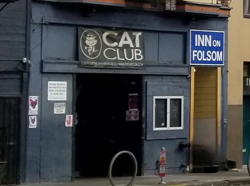 The Cat Club