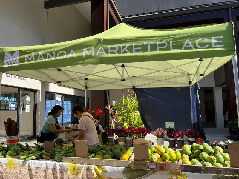 Manoa Farmers Market