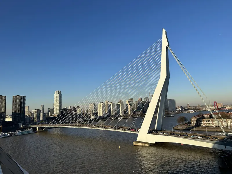 Erasmus Bridge in Rotterdam
