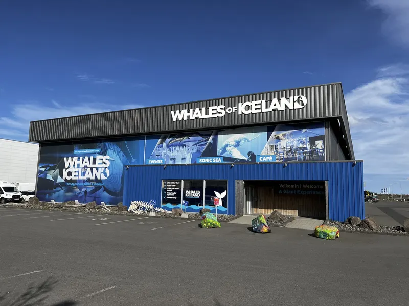 Whales of Iceland in Vesturbær, Reykjavik