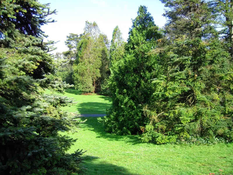 San Francisco Botanical Garden