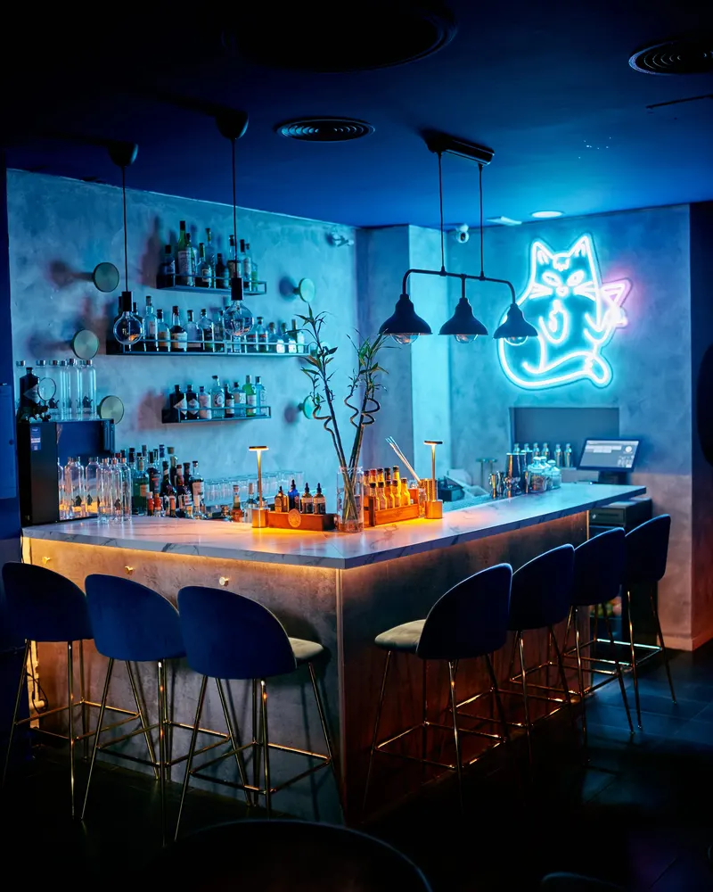 Gato Negro ⬛ in Gran Via, Valencia