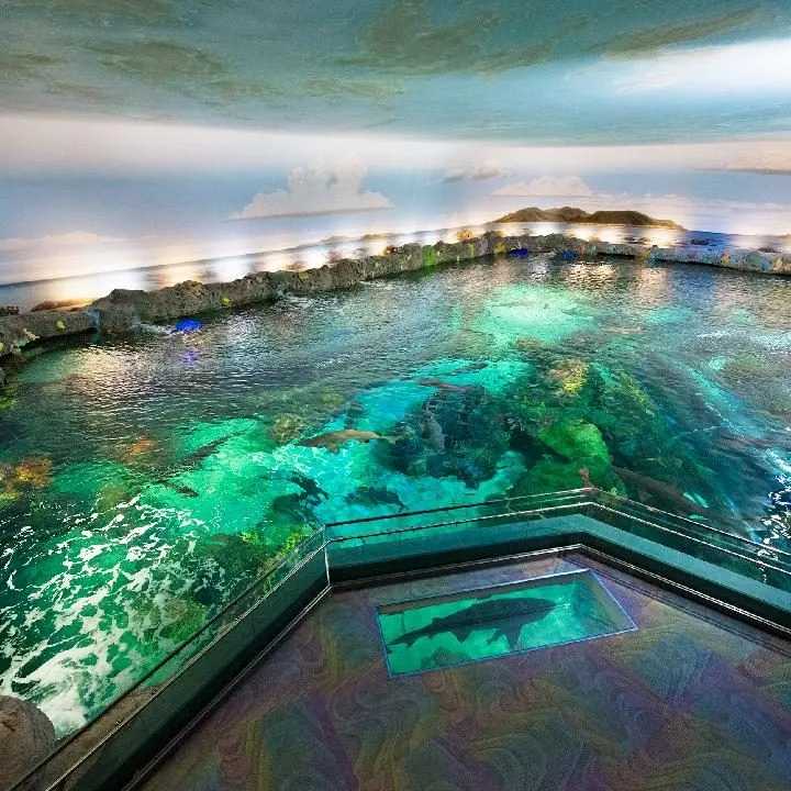 Ripley's Aquarium of Canada in Entertainment District, Toronto
