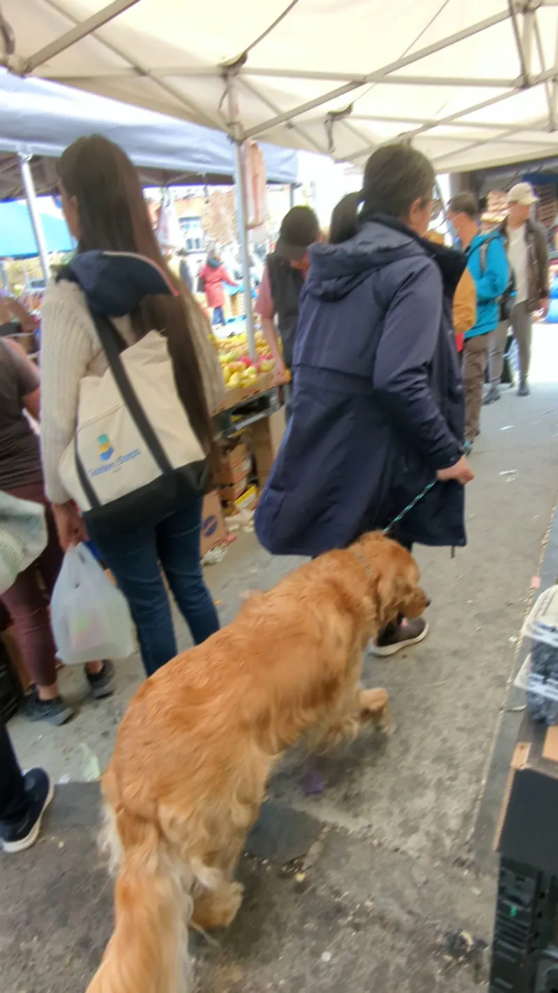Farmers Market