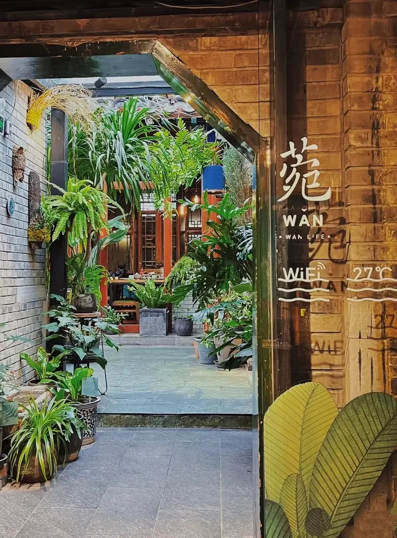 Wan in Beixinqiao, Beijing
