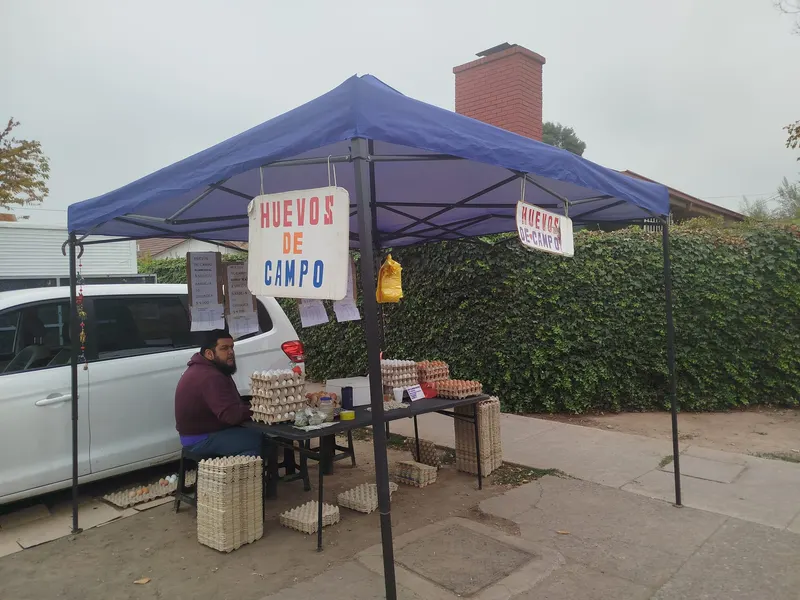 Feria del Domingo