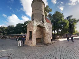 Viru Gate and City Wall