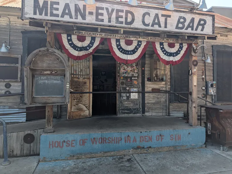 Mean Eyed Cat in Old West Austin Historic District, Austin
