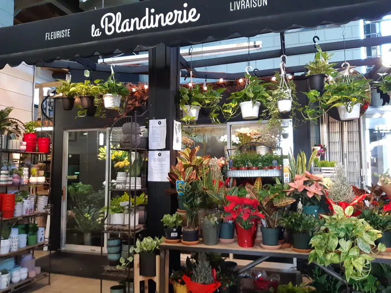 Maisonneuve Market