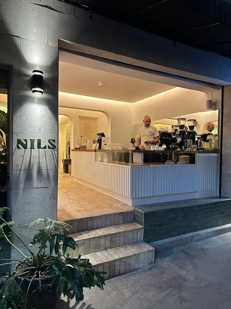 Nils ı Café de especialidad y Gente Increíble in Colonia Condesa, Mexico City