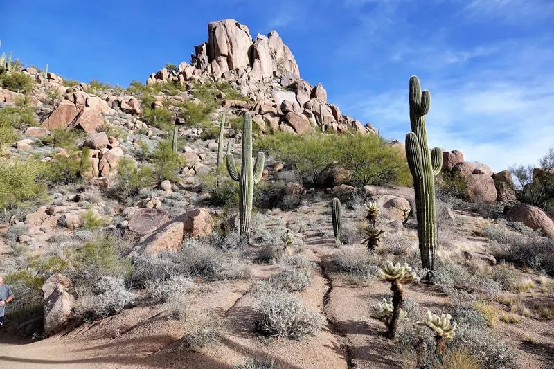 Pinnacle Peak Park in Scottsdale