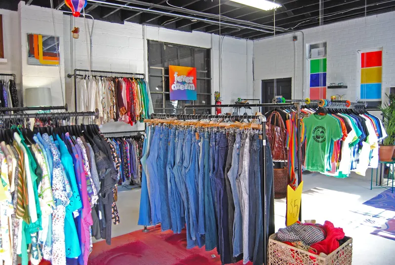 Fever Dream Vintage & Modern in Downtown Denver, Denver