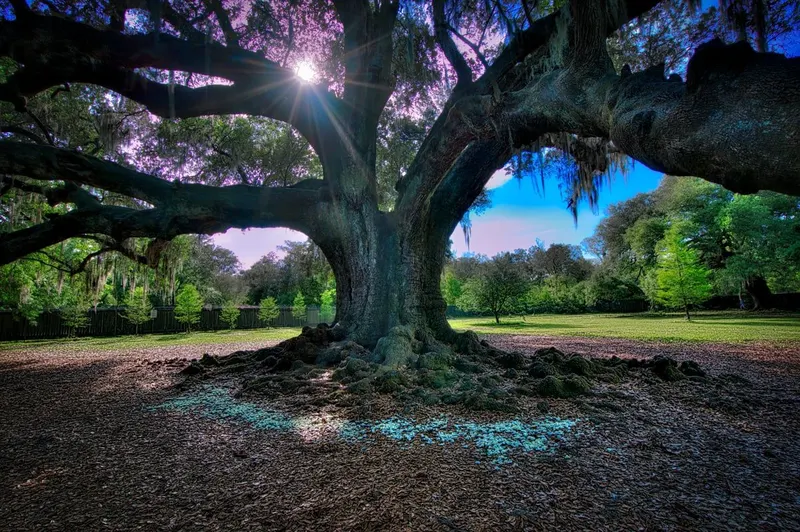 Audubon Park in New Orleans