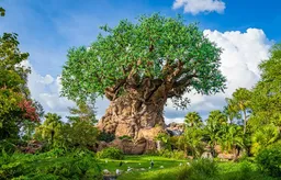 Disney's Animal Kingdom
