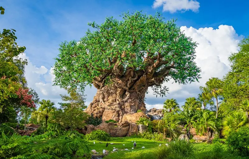 Disney's Animal Kingdom in Orlando