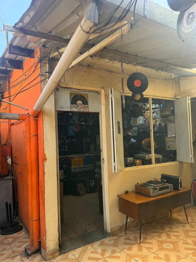 The Real Vinyl Guru