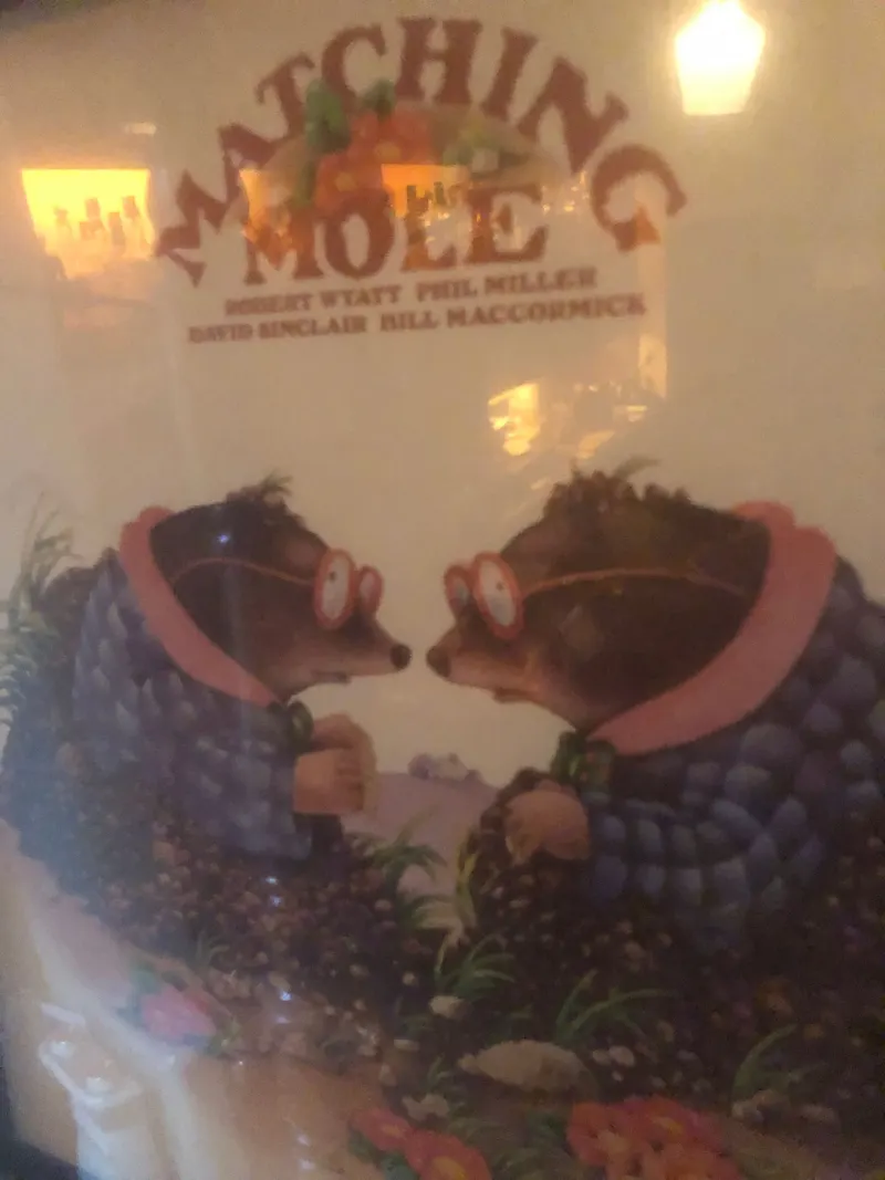 Bar Matching Mole