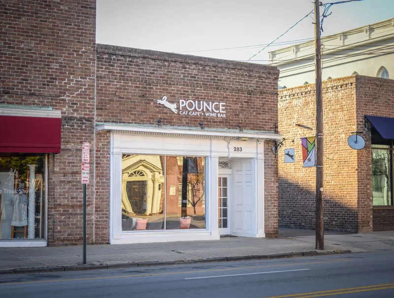 Pounce Cat Café + Wine Bar