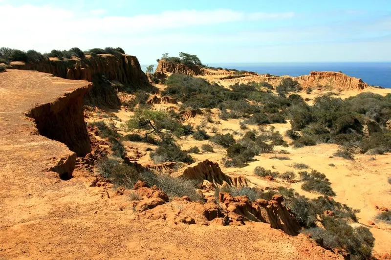 Torrey Pines State Natural Reserve in San Diego