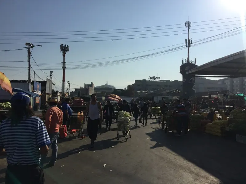 Mercado Central and La Vega