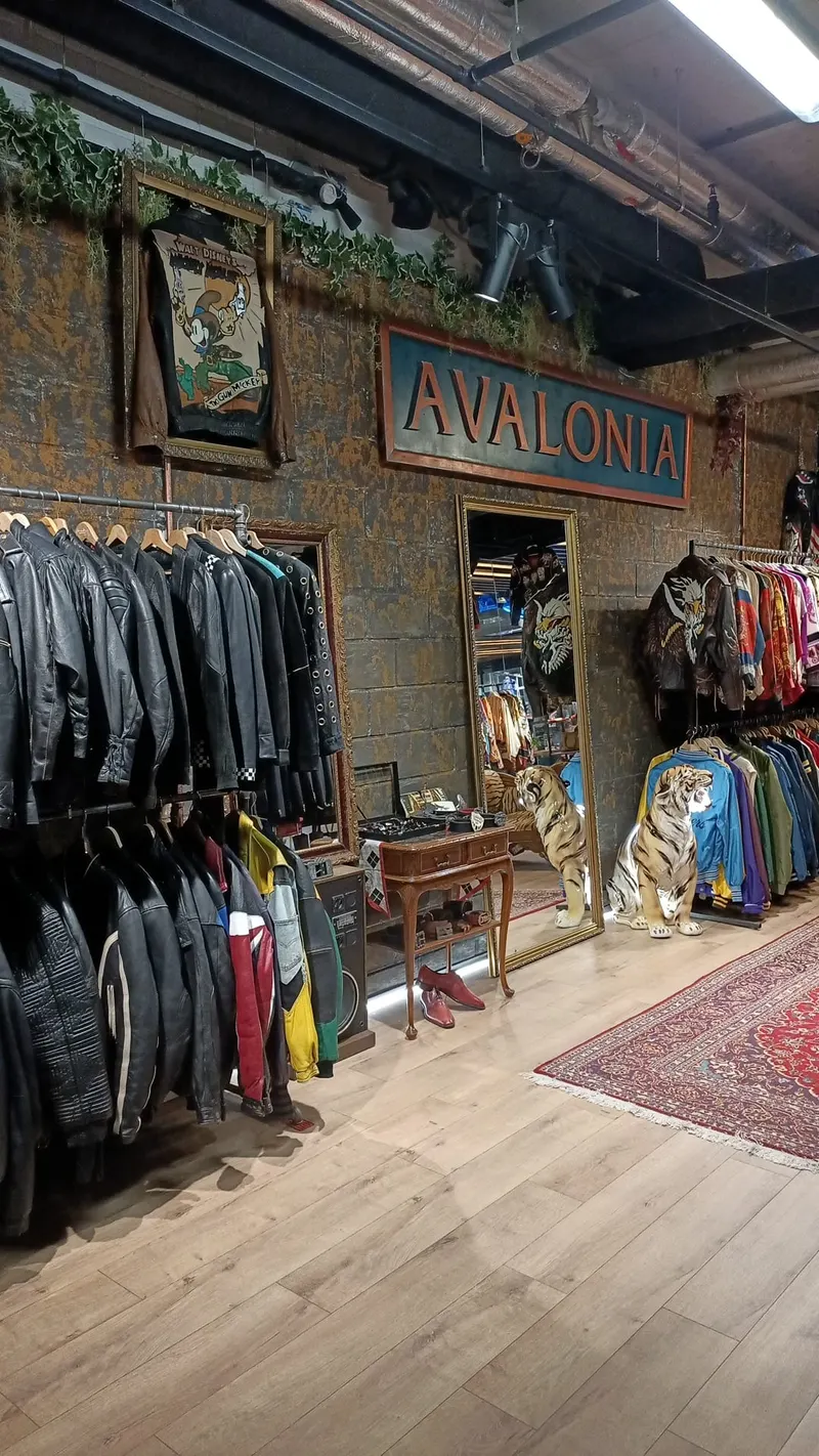 Avalonia Vintage