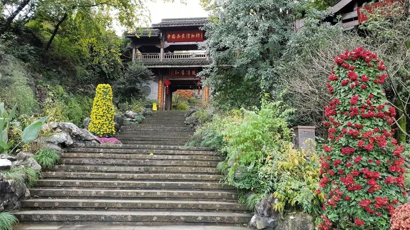 Longjing Tea Fields and China National Tea Museum in Hangzhou