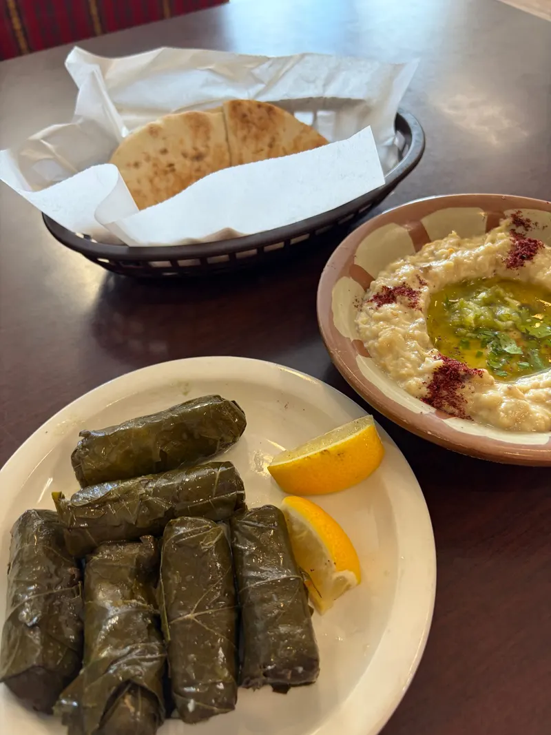 King O Falafel Kissimmee