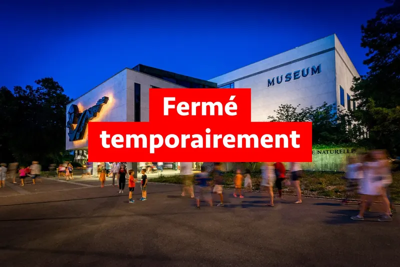 Musée d'Histoire Naturelle in Eaux-Vives, Geneva