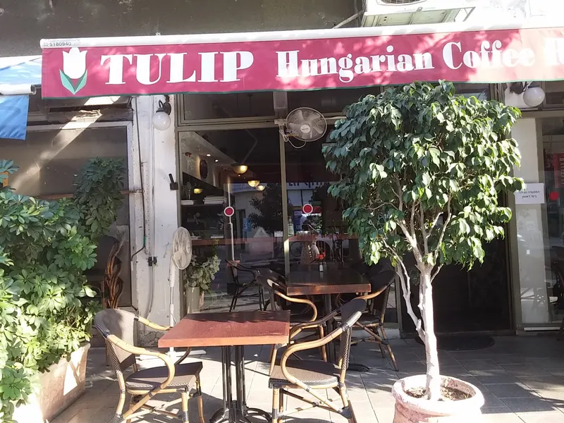Tulip