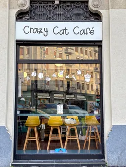 Crazy Cat Café