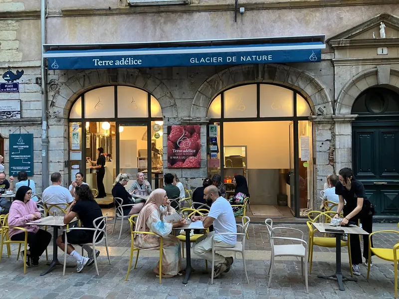 Glacier Terre adélice LYON