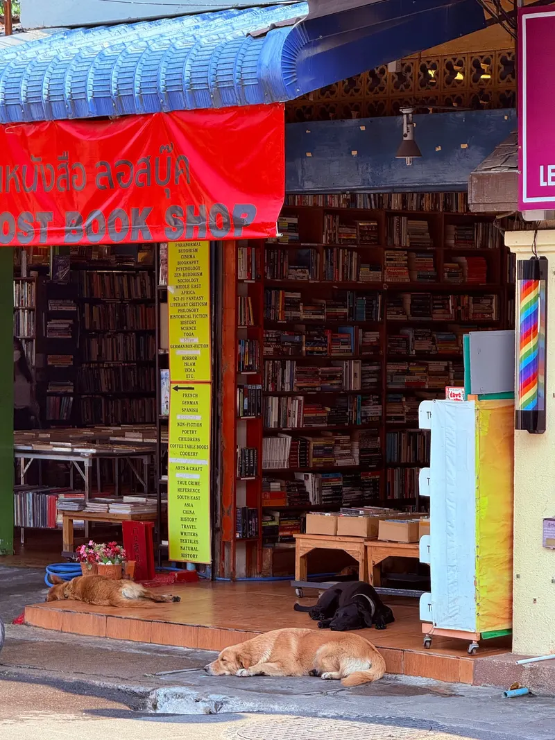 The Lost book shop