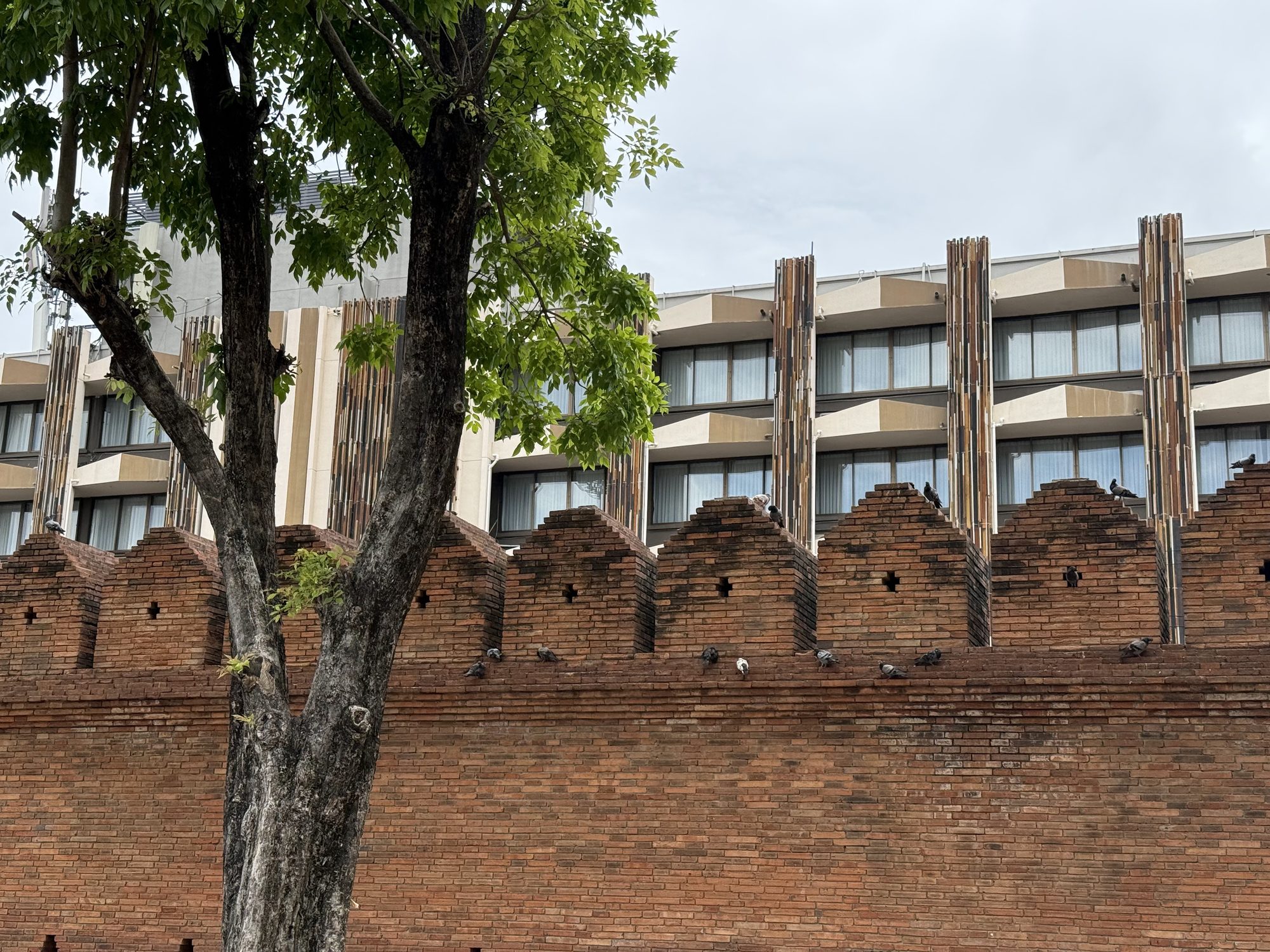 Chang Khlan in Chiang Mai