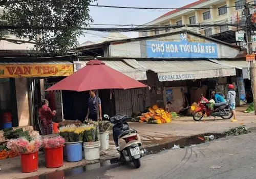 Chợ Hoa tươi Đầm Sen in Binh Thoi, Ho Chi Minh City