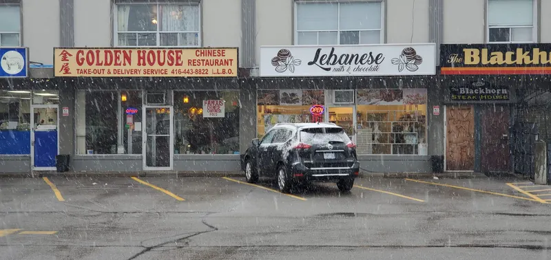 Lebanese Nuts and Chocolate in Scarborough, Toronto
