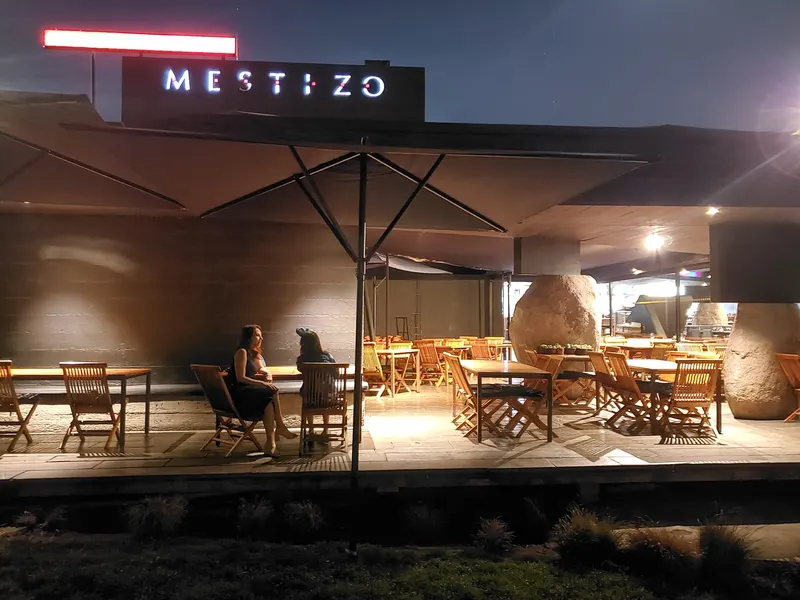 Mestizo