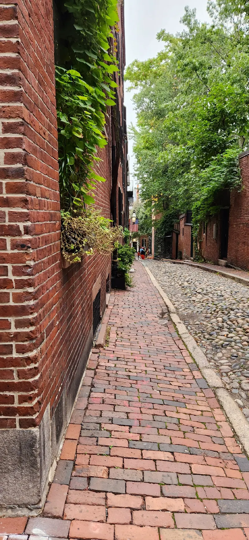 Acorn Street