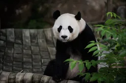 Copenhagen Zoo