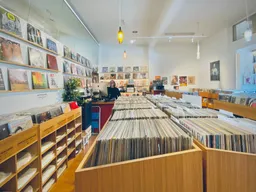 Dutch Vinyl Record Store