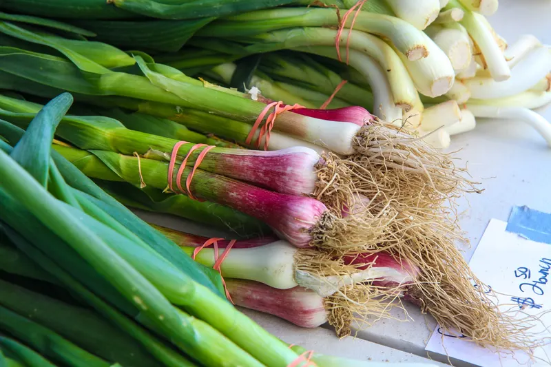 FRESHFARM Monroe Street Farmers Market