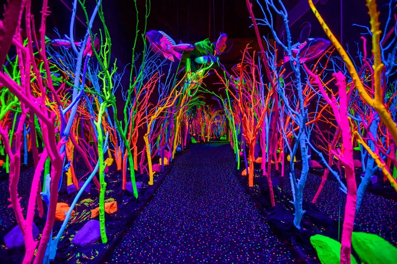 Meow Wolf in Santa Fe