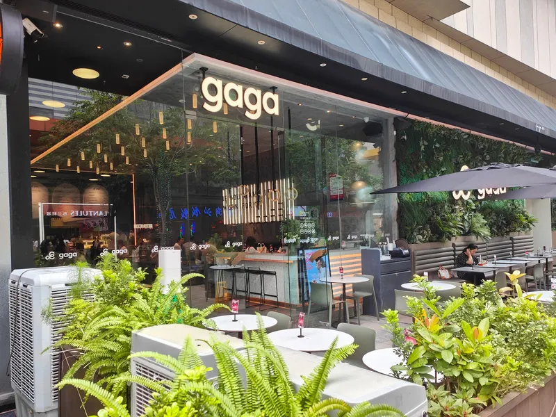 Gaga Chef in Nanshan District, Shenzhen