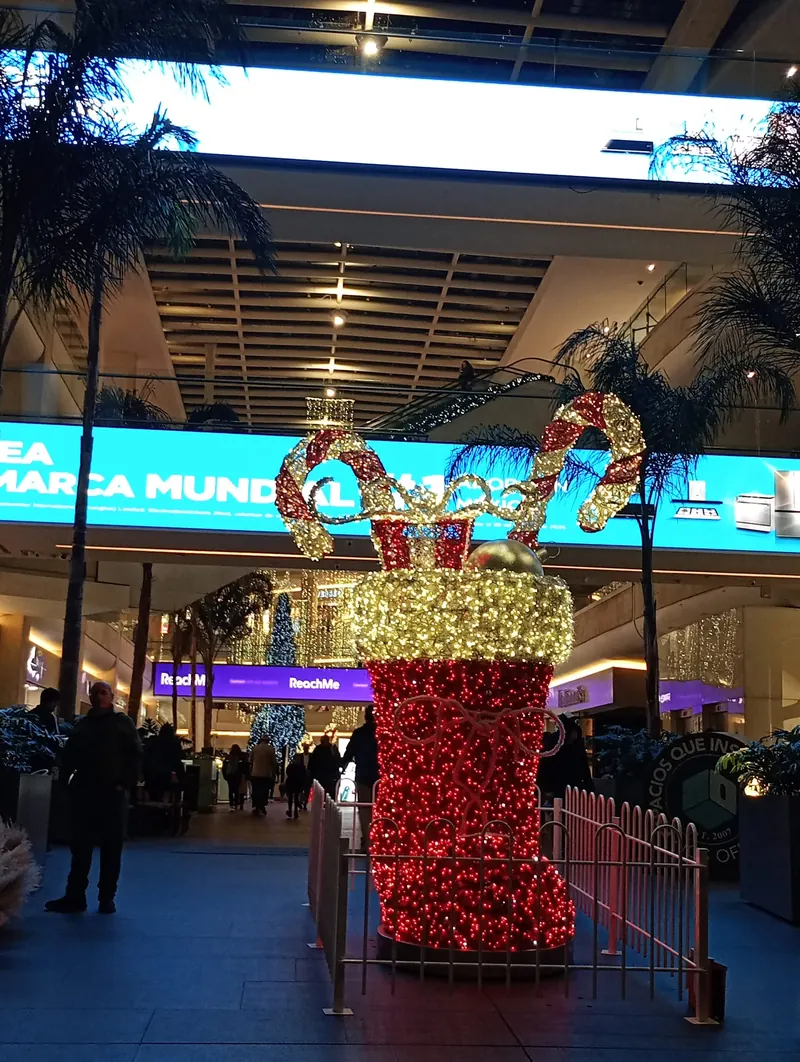 Reforma 222